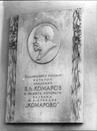Memorial plaque dedicated to V.L.Komarov (Komarovo Railway Station)