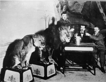Дрессировщик со львами. Фото 1910-х гг.