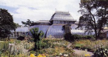 Botanical Garden. A greenhouse.