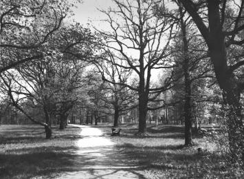 Babolovsky Park, the