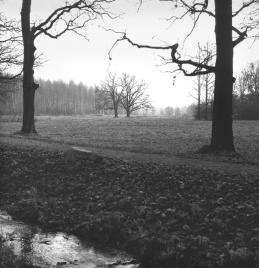 Otdelny Park. View from the Pavlovsky Floodgate. Photo, 1991.