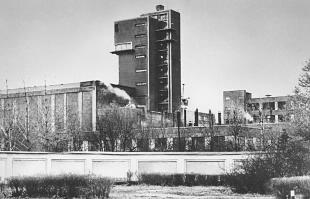 Samson Plant.
