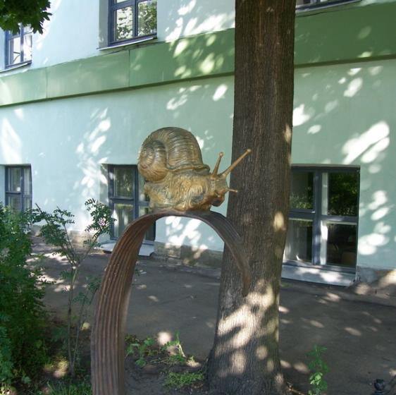 Улитка. Фото с сайта http://www.genling.nw.ru/