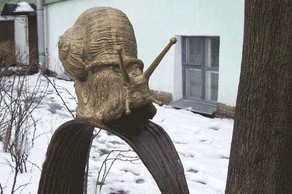 Улитка. Фото с сайта http://www.genling.nw.ru/
